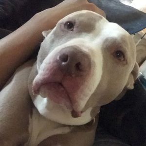 Meet your Posher, Andy